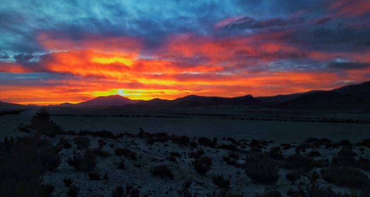 Ultimate Uyuni Adventure: 3-Day Group Tour of the Salt Flats & Stunning Lagoons - Peru Trek 4 Good 7