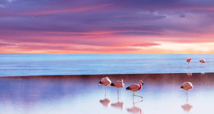 Ultimate Uyuni Adventure: 3-Day Group Tour of the Salt Flats & Stunning Lagoons - Peru Trek 4 Good 9