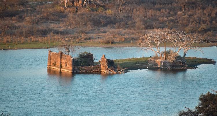 Excursión fotográfica al tigre de Ranthambore - GoBook India Tours 7