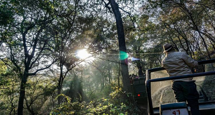 Excursión fotográfica al tigre de Ranthambore - GoBook India Tours 3