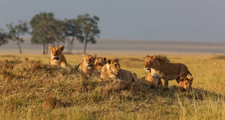 África Oriental Clásica - MW Tours 3