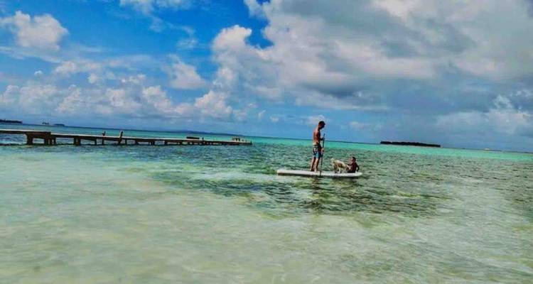 Voyage de 3 jours sur l'île paradisiaque de San Blas + repas + excursion en bateau - TaoTravel365 10