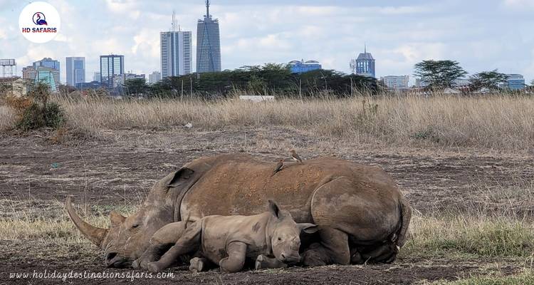Kenya Expedition Safari - Holiday Destination Safaris 1