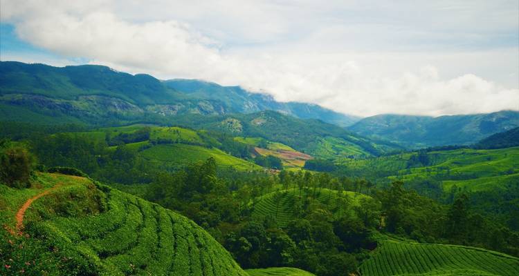 Gouden Driehoek&Kerala Rondreis door - GoBook India Tours 1