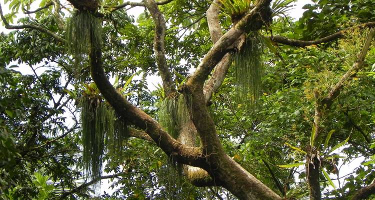 Costa Rica for Nature Explorers - Colibri Travel 5