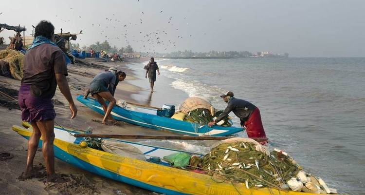 Tour de la faune du Sri Lanka - Colibri Travel 5