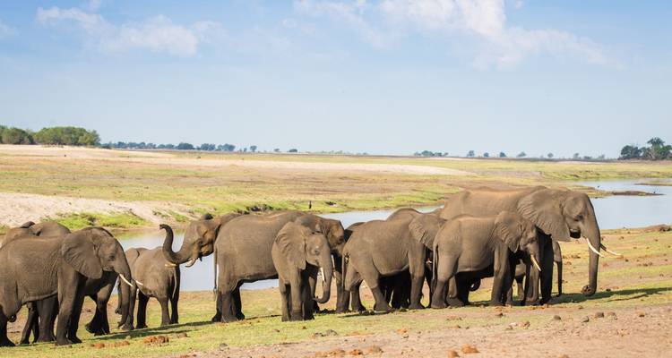 Tent Safari through North-Botswana - Colibri Travel 5