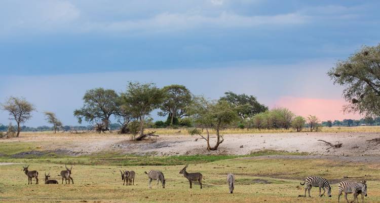 Tent Safari through North-Botswana - Colibri Travel 2