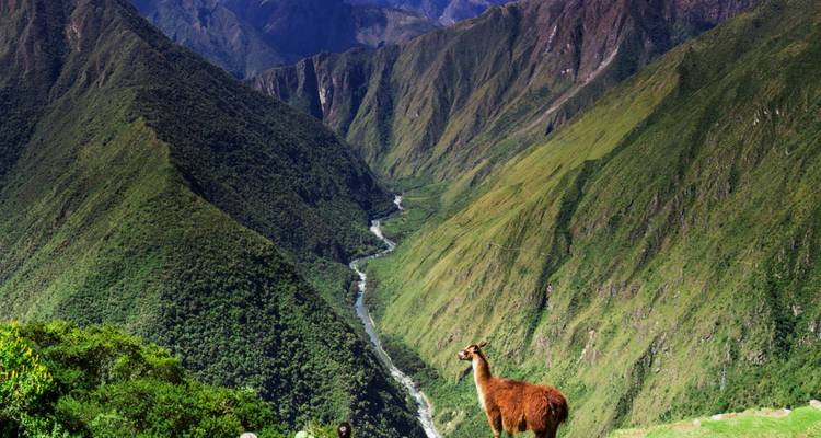 Inca Trail To Machu Picchu - Peru Top experience 3