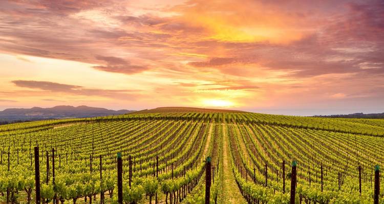 U.S. Small Group Tour - The Best of the West - Omega Tours 6