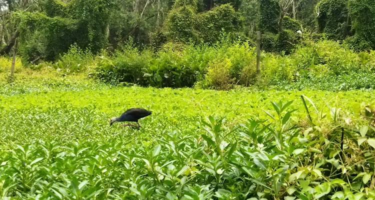 De Phu Quoc a Ho Chi Minh en bicicleta - 5 días - Vietnam By Bike 7