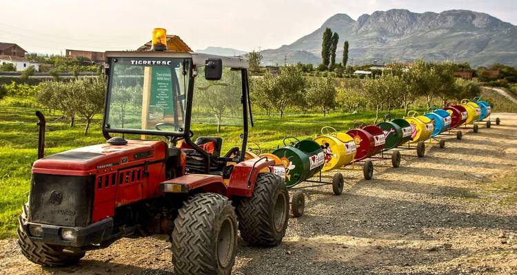 Circuito a Shkoder y Mrizi i Zanave Agroturismo desde Tirana - Choose Balkans 8