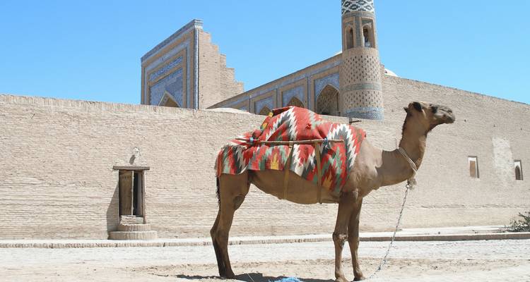 Classical Tour to Uzbekistan - Private Tour - Stantours 10