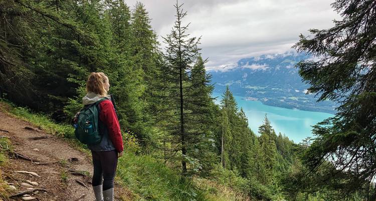 Excursionista mujer admirando la vista del lago turquesa a través del denso bosque alpino