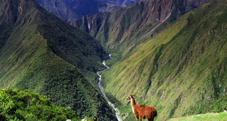 Short inca trail & Sacred Valley - Peru Top experience 2