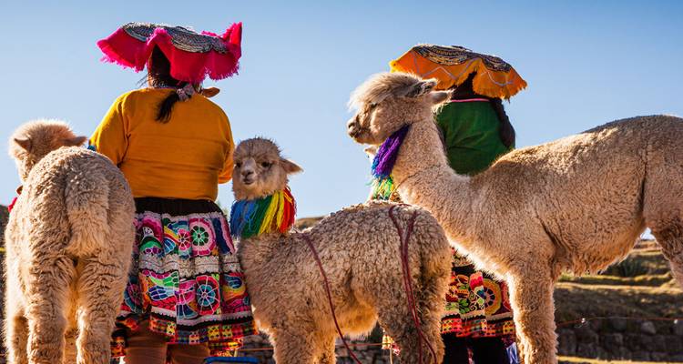 Short inca trail & Sacred Valley - Peru Top experience 7