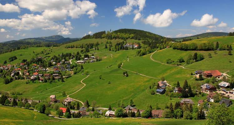Gran Rin y Canales Holandeses 2025 - AmaWaterways 9