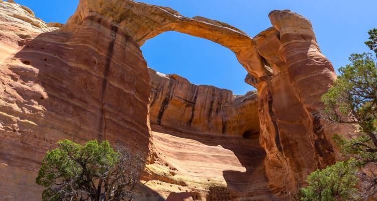 Best of Western USA (13 destinations) - Intrepid Travel 9