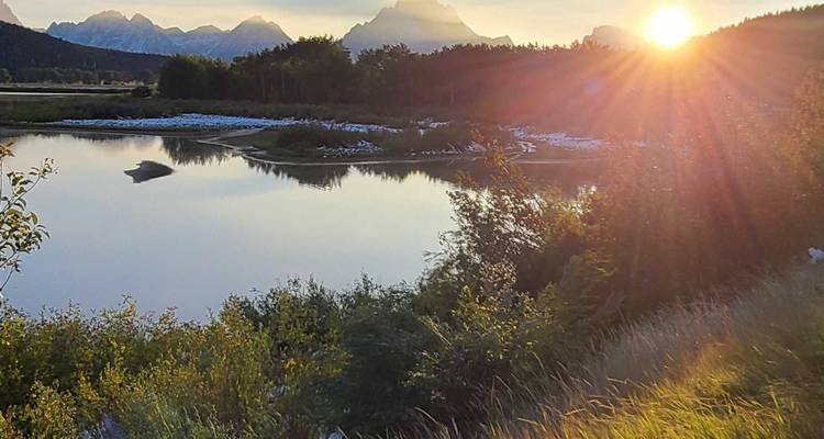 Private- 5 Day- Yellowstone and Grand Teton National Park in Depth- Hotel Based - Bindlestiff Tours 2
