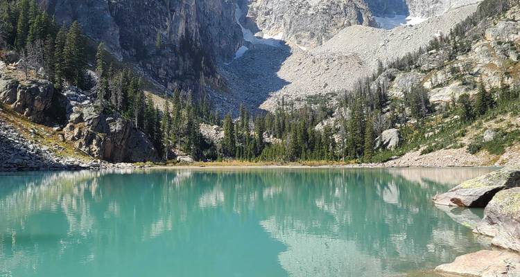 Private- 5 Day- Yellowstone and Grand Teton National Park in Depth- Hotel Based - Bindlestiff Tours 3