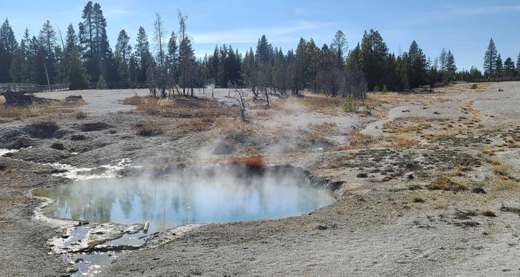 Private- 5 Day- Yellowstone and Grand Teton National Park in Depth- Hotel Based - Bindlestiff Tours 7