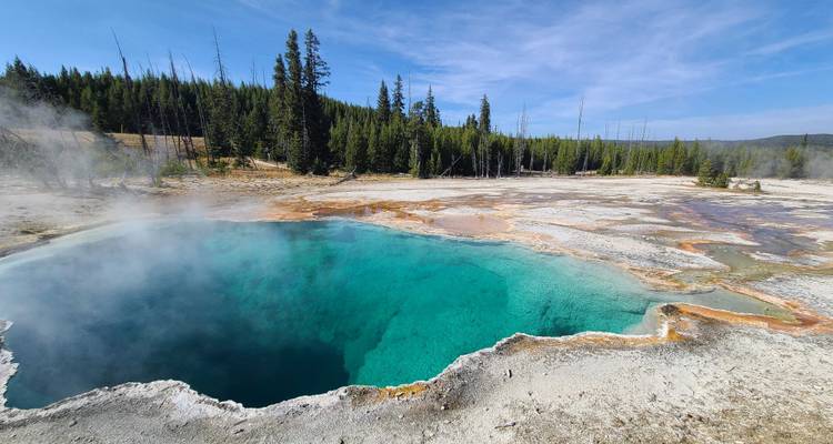 Private- 5 Day- Yellowstone and Grand Teton National Park in Depth- Hotel Based - Bindlestiff Tours 8