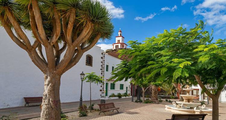Les hauts lieux de la marche d'El Hierro - Exodus Adventure Travels 6
