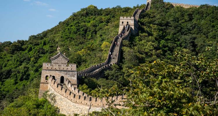 China Tour with Chengdu and Yangtze Cruise (Private Tailored) - Odynovo 7