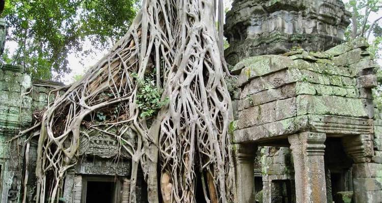 Ancient temple ruins with tree roots growing over the structure.