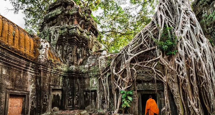 Monk in orange robes near an ancient temple covered with tree roots.