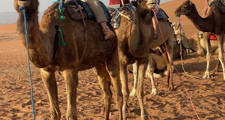 People riding camels in a desert landscape.