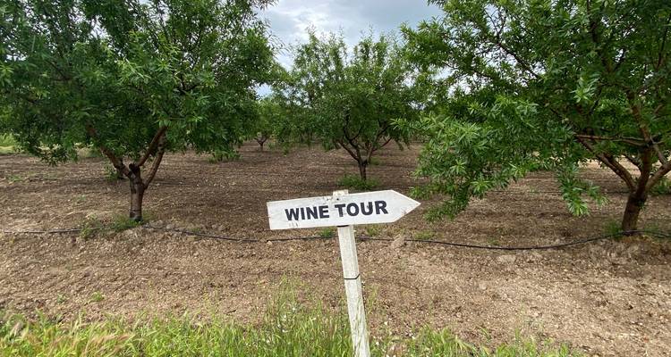 Bicicleta y vino - SicilyCyclingTours 5