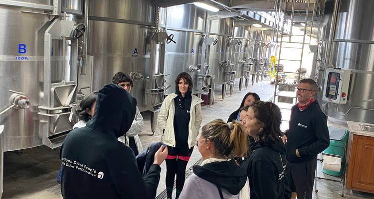 Bicicleta y vino - SicilyCyclingTours 6