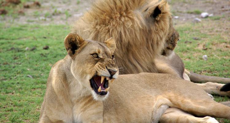 Deutschsprachige Zubucher-Reise Namibia Rundreise 12 Tage | Kleingruppe 2024 - Terra Nova  7