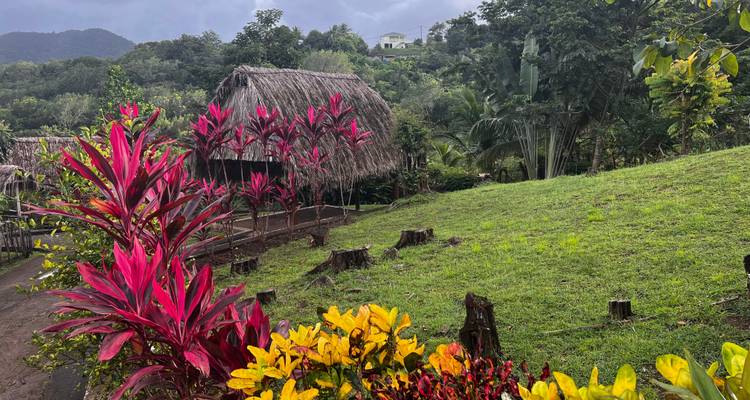 Lush landscape with grass, vibrant flowers, and a thatched hut.