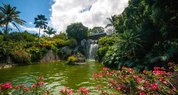 Tropical garden with a waterfall and vibrant flowers.