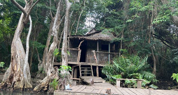 Rustic wooden house surrounded by dense trees.