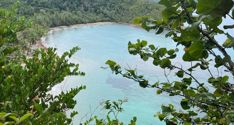 View of a turquoise bay with lush greenery around.