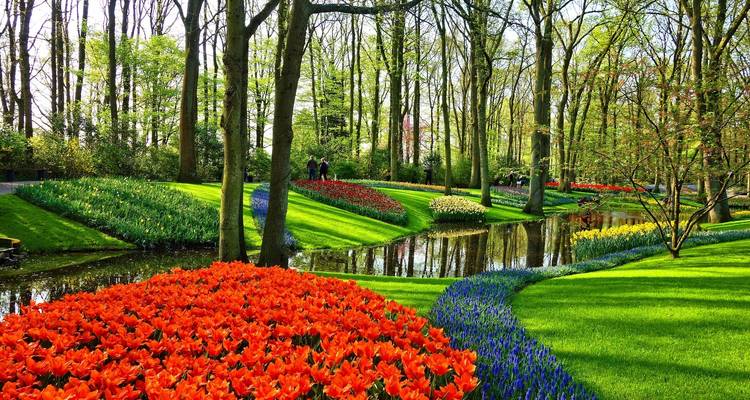 Le temps des tulipes en Hollande et en Belgique pour les amoureux des jardins et de la nature avec 1 nuit à Amsterdam - Avalon Waterways 7