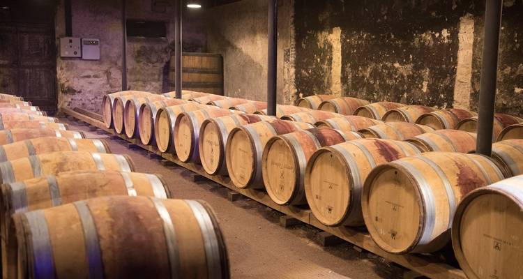 Bourgogne et Provence pour les amateurs de vin (en direction du nord) 2025 - Avalon Waterways 2