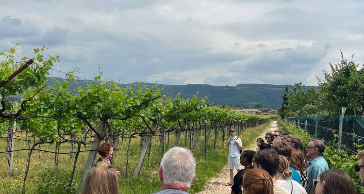 Le charme de l'Italie du Nord - circuit gastronomique en Vénétie et dans le Trentin - Aurea Travel 2