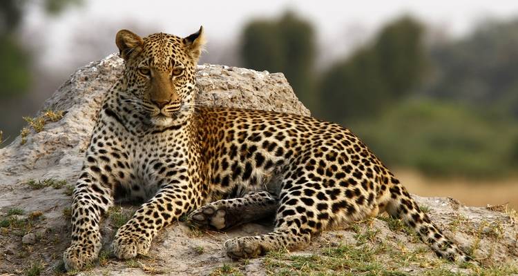 De las cataratas a Namibia - alojamiento - 12 días - On The Go Tours 2