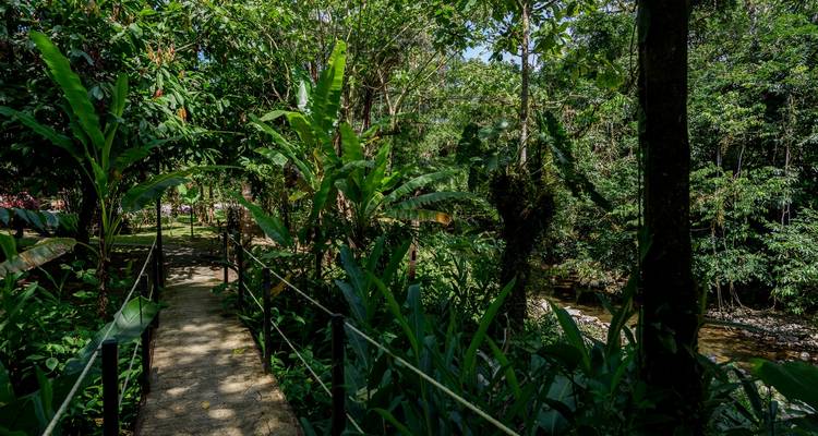 4 Days Amazon Sustainable Lodge - Responsible Travel South America 3