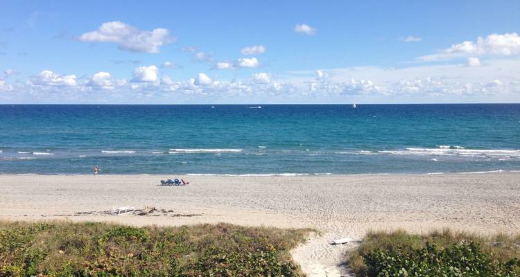 Costas soleadas del sur de Florida - Cosmos 7