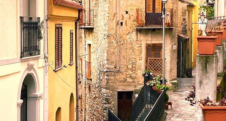 Historische smalle straat met kleurrijke gebouwen.
