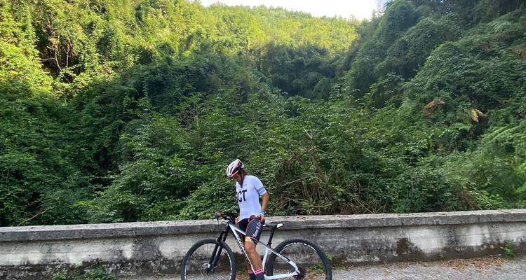 Een fietser stopte bij een weelderig groen gebied.