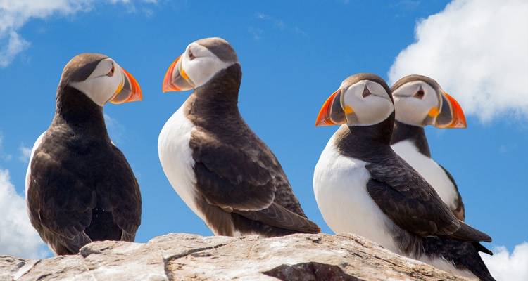 Tailor-Made Private Family Trip to Iceland - Agate Travel 3