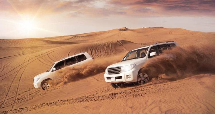 Egypt and Dubai: An 11-Day Exploration - Nilvison Egypt Tours  2