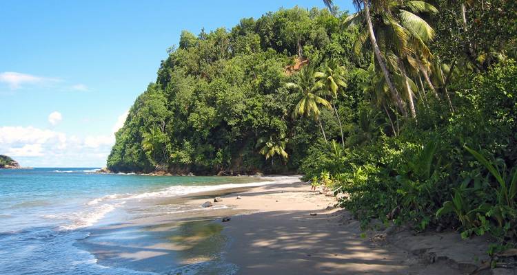 Sauter d'une île à l'autre dans le kaléidoscope des Caraïbes - DIAMIR Erlebnisreisen 8