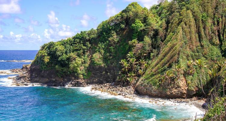 Coastal landscape with cliffs and lush vegetation.